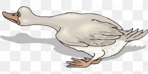 aflac duck clipart