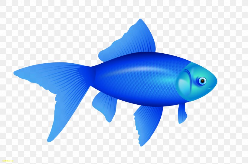 Fish Clip Art, PNG, 1600x1062px, Fish, Adam7 Algorithm, Blue, Bluefish, Bony Fish Download Free