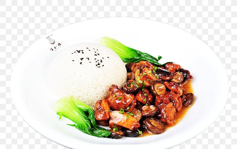 Hainanese Chicken Rice Vegetarian Cuisine Bibimbap Food, PNG, 1024x645px, Chicken, Asian Food, Bibimbap, Bowl, Cuisine Download Free