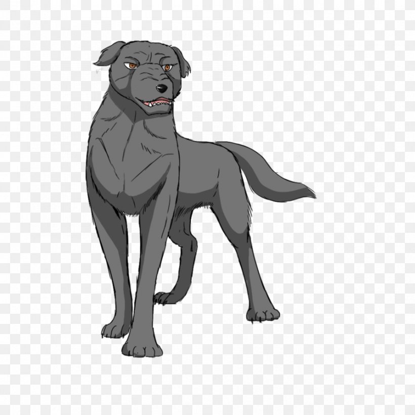Labrador Retriever Dog Breed Puppy Sporting Group, PNG, 894x894px, Labrador Retriever, Animated Cartoon, Black, Breed, Carnivoran Download Free