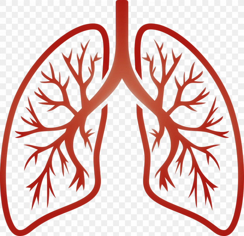 Lungs COVID Corona Virus Disease, PNG, 3000x2904px, Lungs, Corona Virus Disease, Covid, Leaf, Ornament Download Free