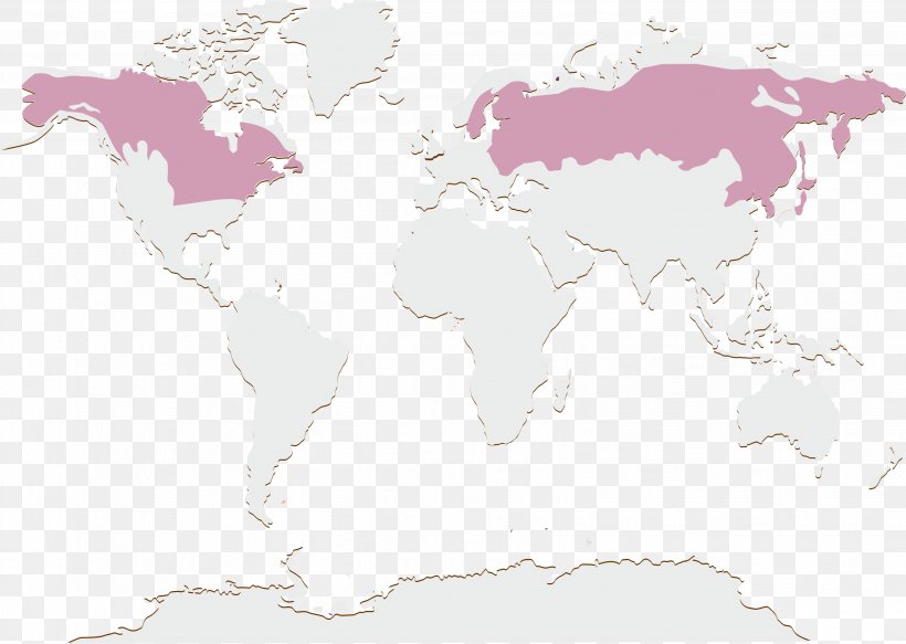 World Map Pink M, PNG, 3087x2197px, World, Map, Pink, Pink M, Tuberculosis Download Free