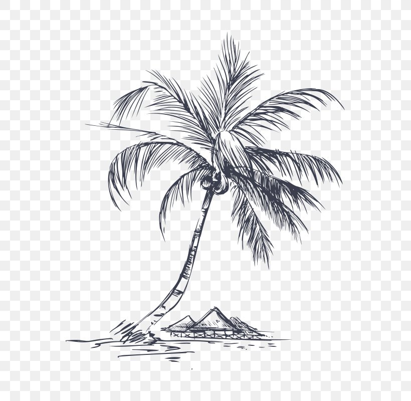 Coconut Tree Pixel, PNG, 800x800px, Coconut, Arecaceae, Arecales, Black And White, Branch Download Free