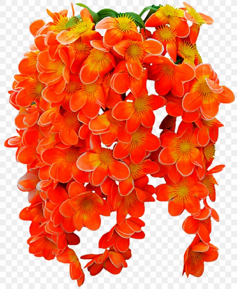 Cut Flowers Petal, PNG, 890x1086px, Cut Flowers, Flower, Flowering Plant, Orange, Peach Download Free