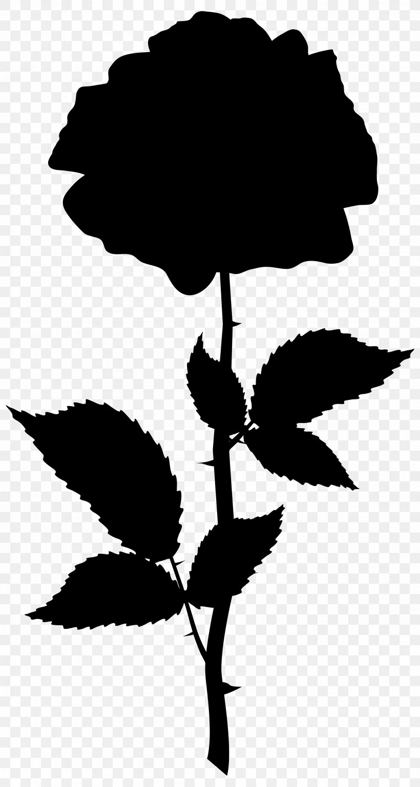Flower Plant Stem Leaf Clip Art Silhouette, PNG, 2667x5000px, Flower, Blackandwhite, Botany, Branching, Flowering Plant Download Free