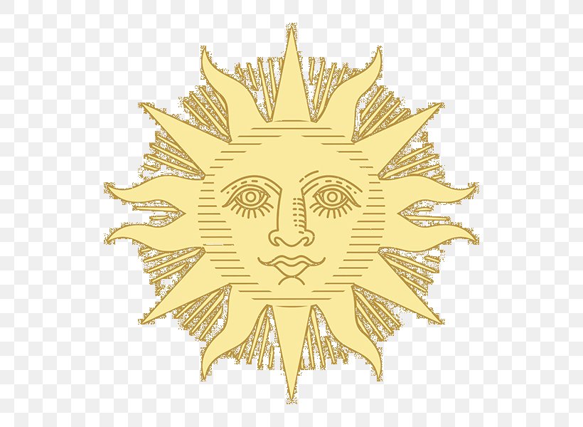 Creativity Sun Designer Illustration, PNG, 800x600px, Creativity, Designer, Leaf, Sun, Symbol Download Free