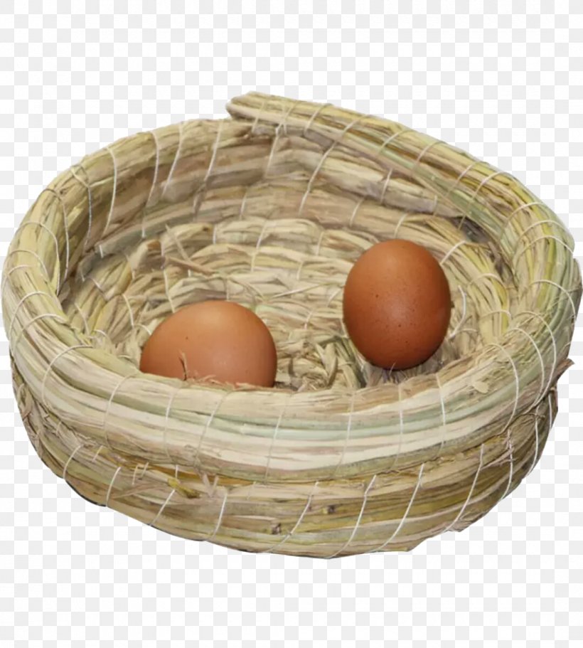 Download Google Images If(we) Icon, PNG, 1080x1200px, Google Images, Basket, Chicken Egg, Designer, Egg Download Free