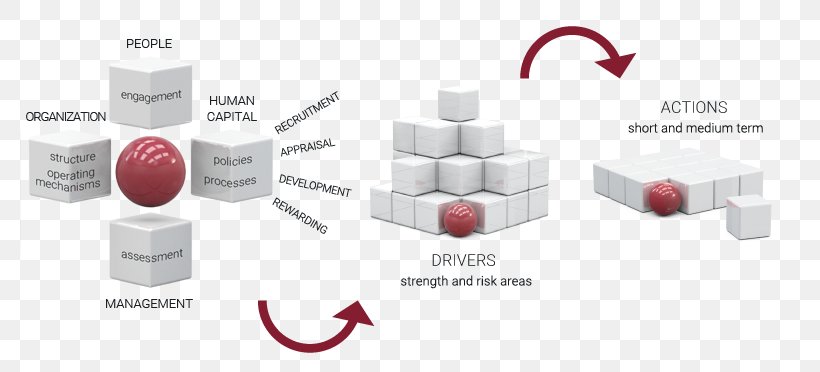 Due Diligence Human Capital Organization Change Management Business Process, PNG, 780x372px, Due Diligence, Brand, Business Process, Capital, Change Management Download Free