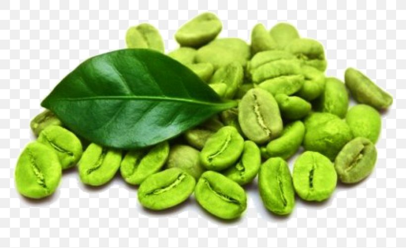 Green Coffee Extract Green Tea Coffee Bean, PNG, 768x501px, Coffee, Arabica Coffee, Bean, Coffee Bean, Commodity Download Free