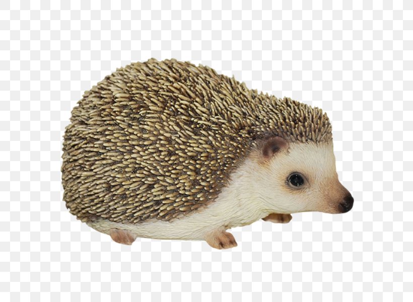 Baby Hedgehogs Figurine Ornament Domesticated Hedgehog, PNG, 600x600px, Hedgehog, Arts, Baby Hedgehogs, Bird Feeders, Domesticated Hedgehog Download Free