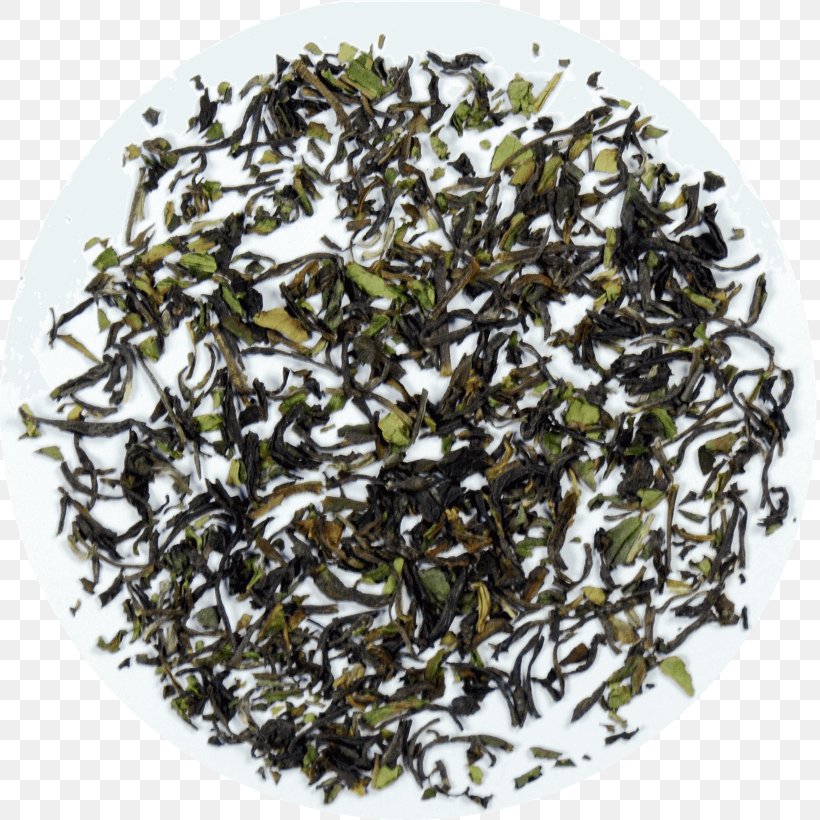 Darjeeling Tea Assam Tea Nilgiri Tea Biluochun, PNG, 1640x1640px, Darjeeling Tea, Assam Tea, Bai Mudan, Bancha, Biluochun Download Free