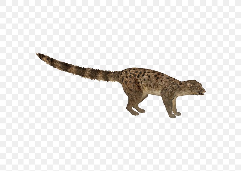Viverridae Velociraptor Tyrannosaurus Reptile Dinosaur, PNG, 582x582px, Viverridae, Animal, Animal Figure, Big Cat, Big Cats Download Free