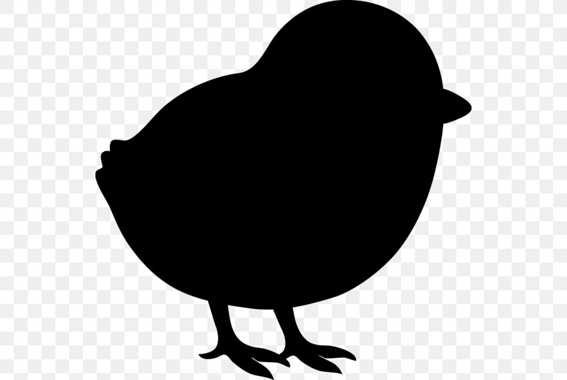 Clip Art Fauna Silhouette Beak Chicken As Food, PNG, 544x550px, Fauna, Beak, Bird, Blackandwhite, Chicken As Food Download Free