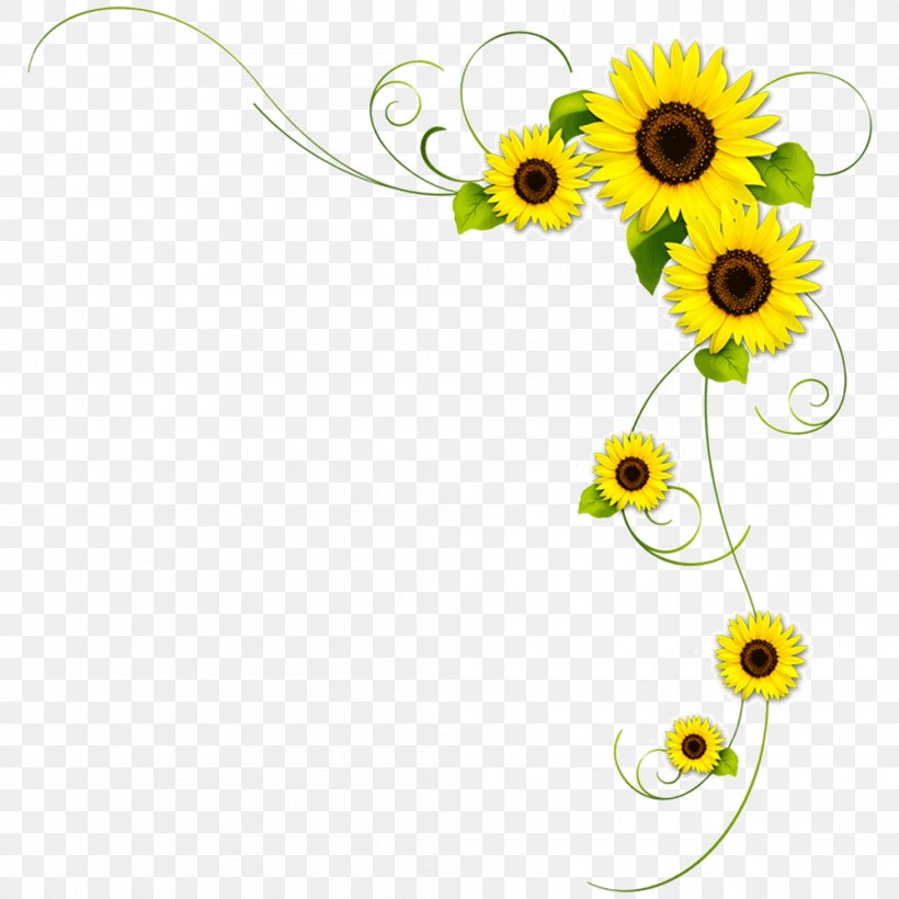 Clip Art Vector Graphics Image Flower, PNG, 1000x1000px, Flower, Common Sunflower, Cut Flowers, Daisy, Daisy Family Download Free