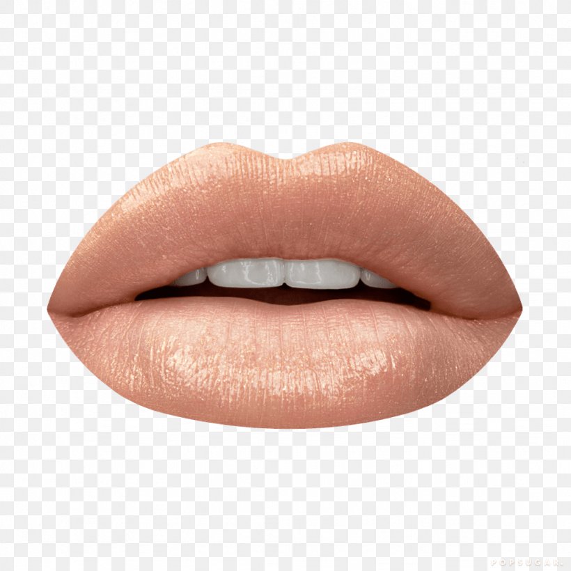 Cosmetics Lip Gloss Color Beauty, PNG, 1024x1024px, Cosmetics, Beauty, Cheek, Chin, Color Download Free