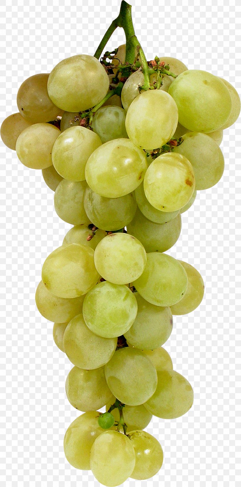 Juice Grape Fruit, PNG, 1352x2737px, Common Grape Vine, Berry, Food, Fruit, Grape Download Free