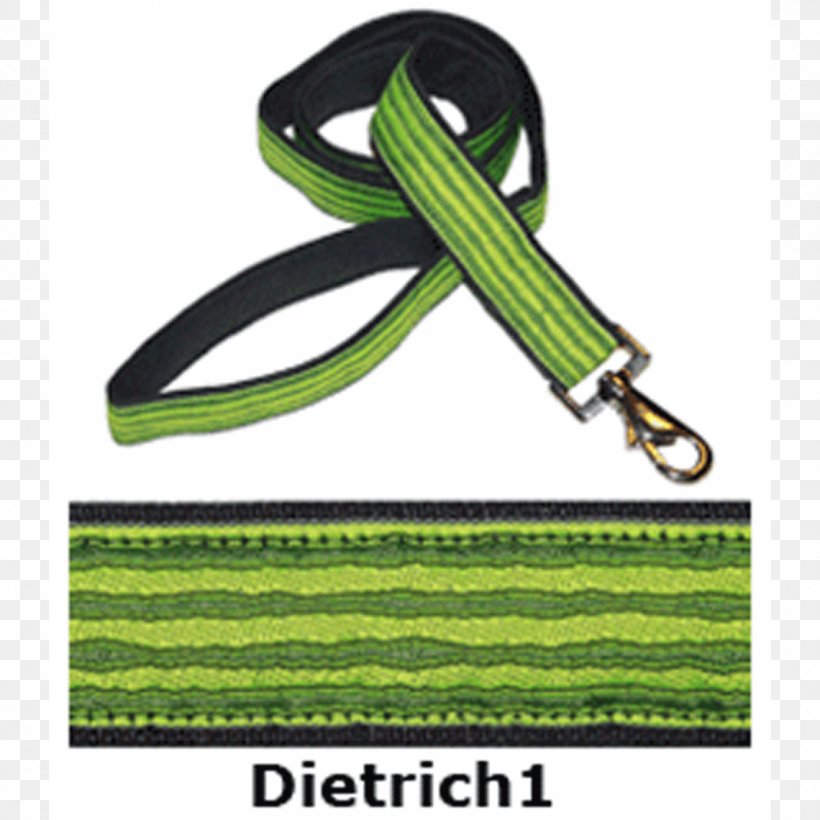 Leash Green Line Font, PNG, 1500x1500px, Leash, Brand, Fashion Accessory, Green, Yellow Download Free