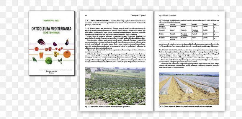 Orticoltura Mediterranea Sostenibile Brochure Romano Tesi, PNG, 1332x661px, Brochure, Text, Tree Download Free