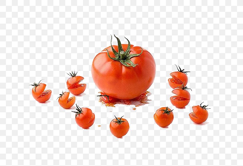 Tomato Creativity Food Photography, PNG, 650x562px, Tomato, Advertising, Art, Clementine, Creative Work Download Free