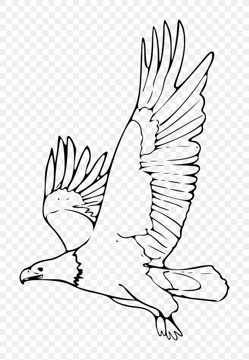 Bald Eagle Black And White Black-and-white Hawk-eagle Clip Art, PNG, 2000x2887px, Bald Eagle, Area, Art, Artwork, Beak Download Free
