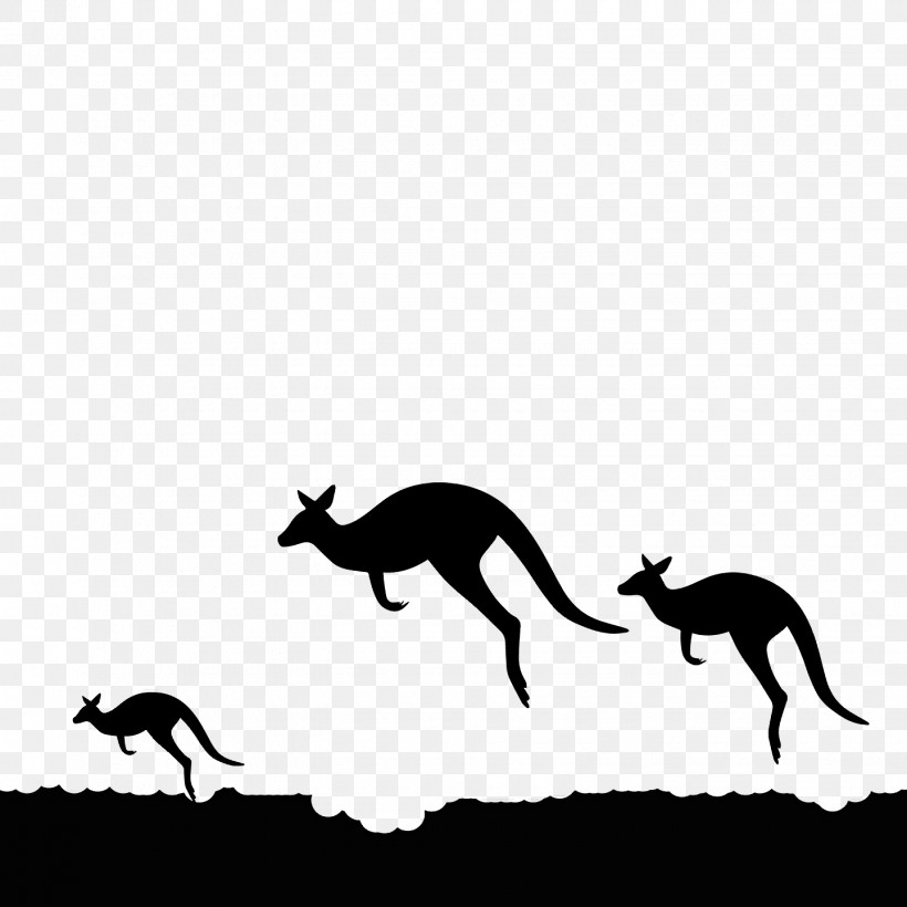 Kangaroo Macropods Mustang Dog Black & White / M, PNG, 1440x1440px, Kangaroo, Black White M, Dog, Horse, Macropods Download Free