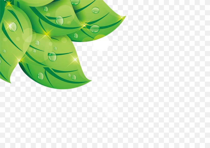 Leaf Computer File, PNG, 967x685px, Leaf, Grass, Green, Plot, Poster Download Free