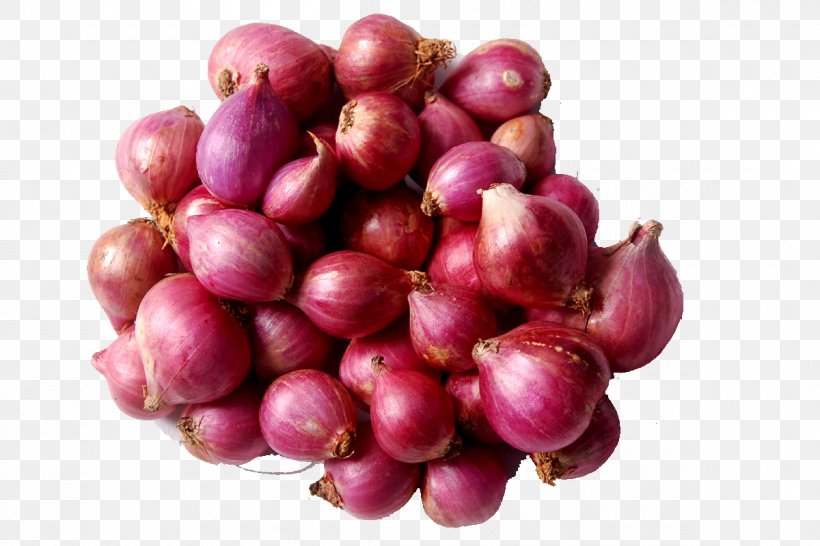 Sambar Shallot Vegetable Red Onion Potato, PNG, 1200x800px, Sambar, Beet, Berry, Chili Pepper, Cranberry Download Free