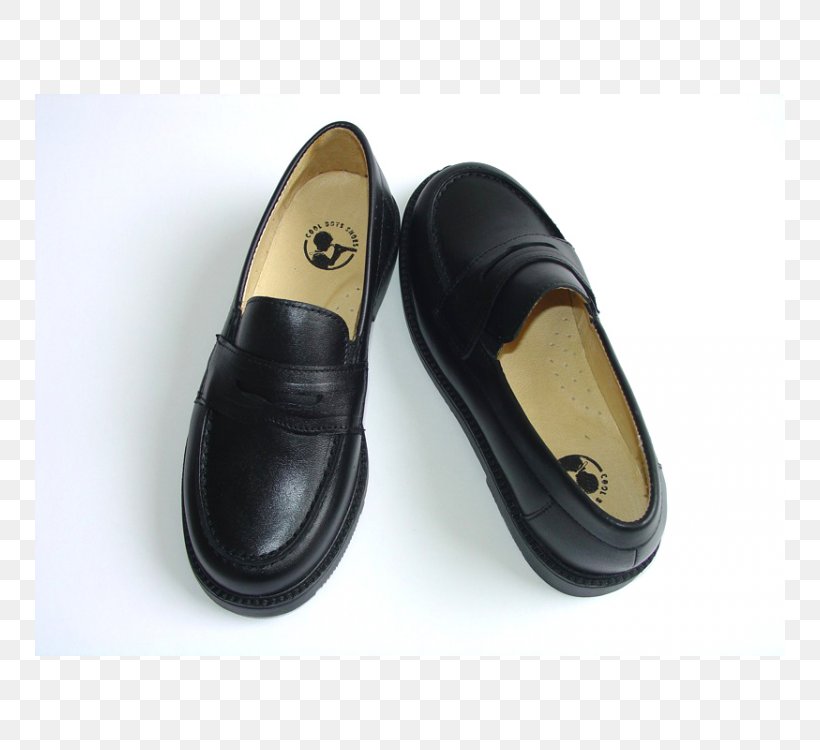 Slip-on Shoe Slipper Brogue Shoe Leather, PNG, 750x750px, Slipon Shoe, Boy, Brogue Shoe, Dublin, Dublin Institute Of Technology Download Free