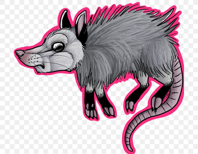 Common Opossum Drawing Cartoon, PNG, 705x641px, Common Opossum, Art, Canidae, Carnivoran, Cartoon Download Free