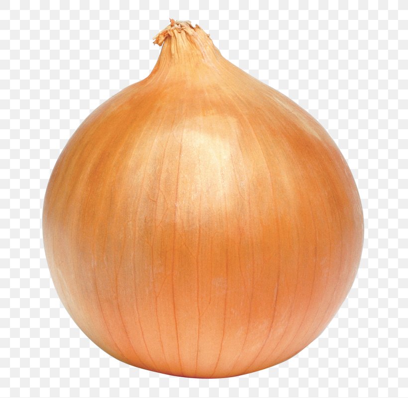 Yellow Onion Shallots Pumpkin Calabaza Winter Squash, PNG, 718x801px, Yellow Onion, Allium, Amaryllis Family, Aubergines, Cabbage Download Free