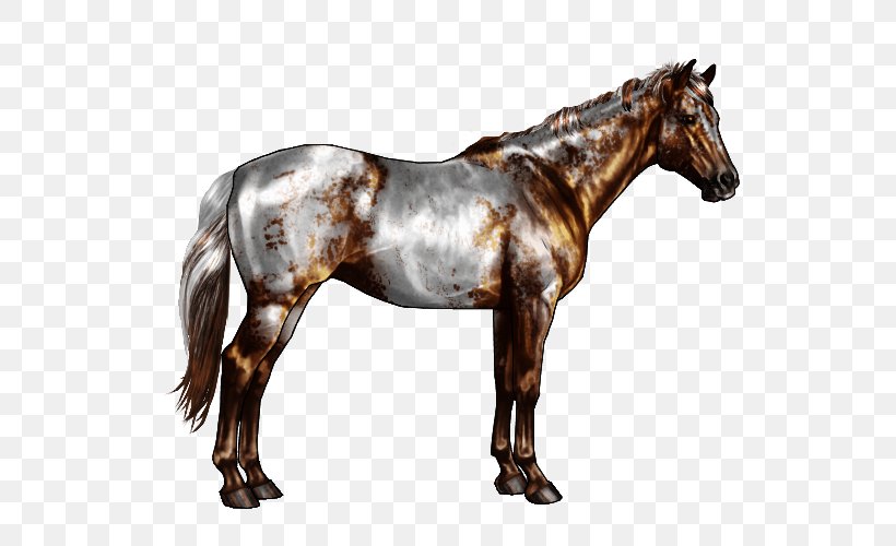 Appaloosa American Paint Horse Horse Markings Roan Chestnut, PNG, 600x500px, Appaloosa, American Paint Horse, Black, Buckskin, Chestnut Download Free