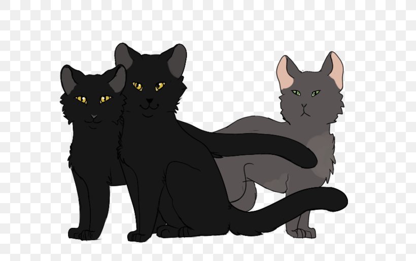 Bombay Cat Black Cat Korat Kitten Domestic Short-haired Cat, PNG, 800x514px, Bombay Cat, Black, Black Cat, Black M, Bombay Download Free