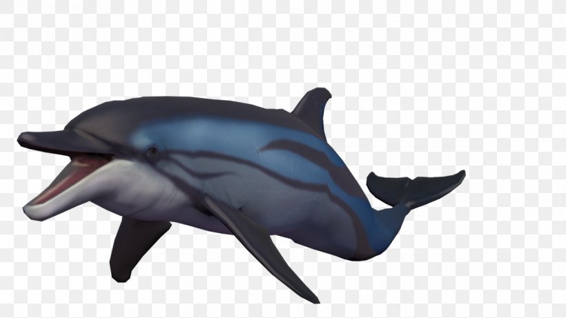 Common Bottlenose Dolphin Short-beaked Common Dolphin Wholphin Tucuxi Rough-toothed Dolphin, PNG, 1191x670px, Common Bottlenose Dolphin, Animal, Art, Bottlenose Dolphin, Common Dolphin Download Free