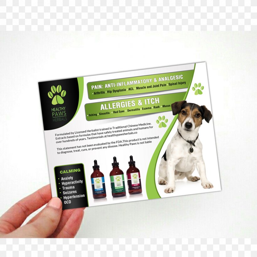 Jack Russell Terrier Dog Breed Advertising Text, PNG, 1400x1400px, Jack Russell Terrier, Advertising, Brand, Breed, Conflagration Download Free