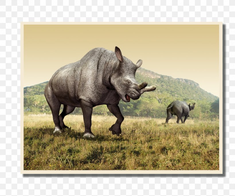 Mesoproterozoic Archean Pig Prehistory, PNG, 851x709px, Proterozoic, Archean, Earth, Erdgeschichte, Fauna Download Free