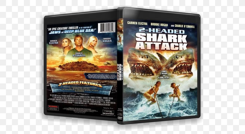 2-Headed Shark Attack Film United States The Asylum, PNG, 599x450px, 3headed Shark Attack, 2012, Shark, Asylum, Dvd Download Free