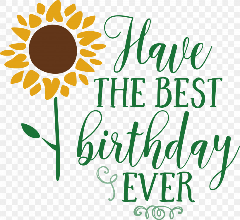 Birthday Best Birthday, PNG, 3000x2753px, Birthday, Cut Flowers, Daisy Family, Floral Design, Flower Download Free