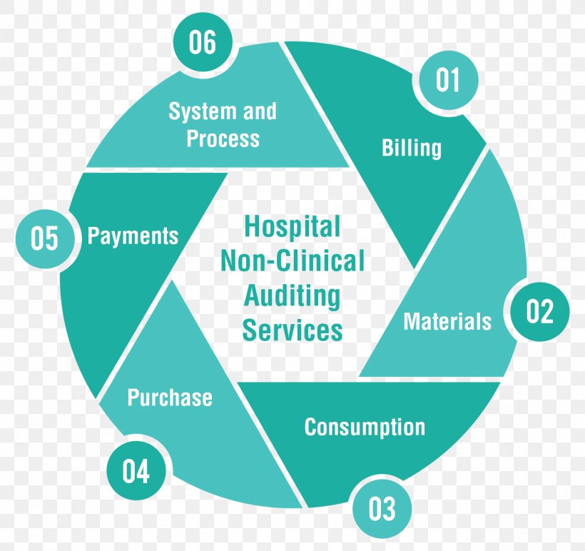 Service Health Care Audit Company Hospital, PNG, 1276x1202px, Service, Area, Audit, Brand, Business Download Free