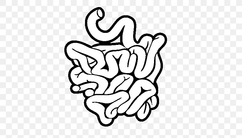 Human anatomy Large and small intestine Sketch Engraving style Vector  illustration Stock Vector  Adobe Stock