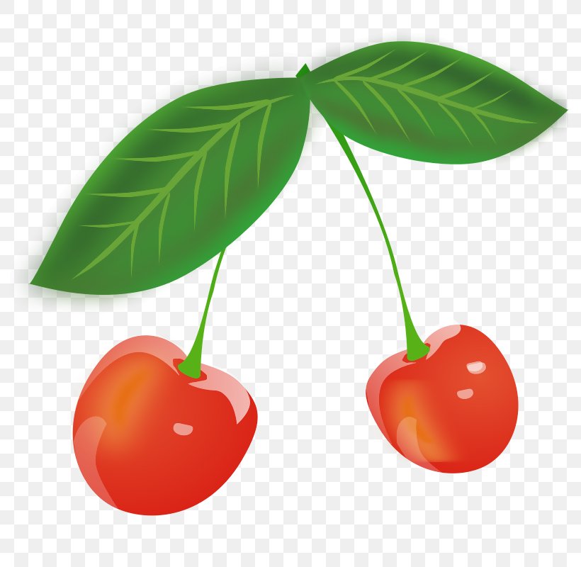Sour Cherry Fruit Clip Art, PNG, 800x800px, Cherry, Berry, Black Cherry, Food, Fruit Download Free