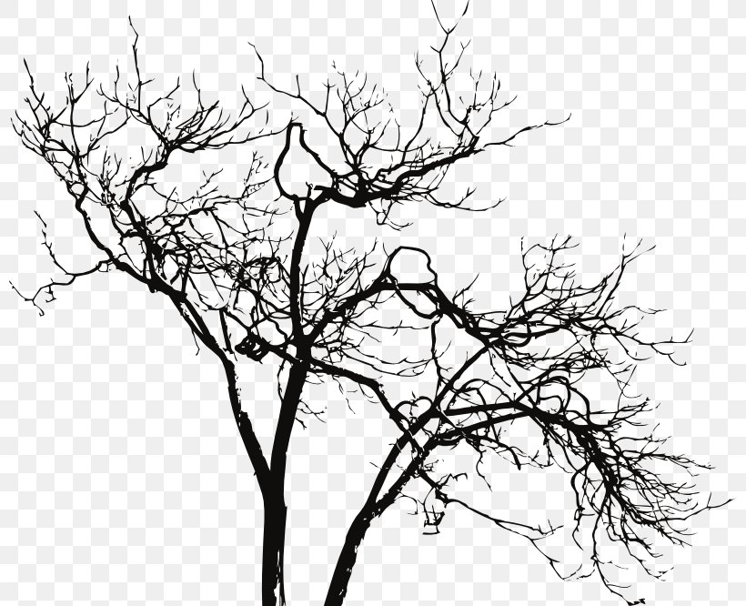 Tree Branch Fecal Incontinence Feces, PNG, 800x666px, Tree, Artwork, Black And White, Branch, Drawing Download Free