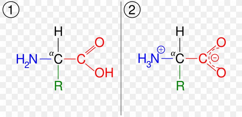 Zwitterion Glycine Ionization Amino Acid Amine, PNG, 1280x623px, Zwitterion, Acid, Amide, Amine, Amino Acid Download Free