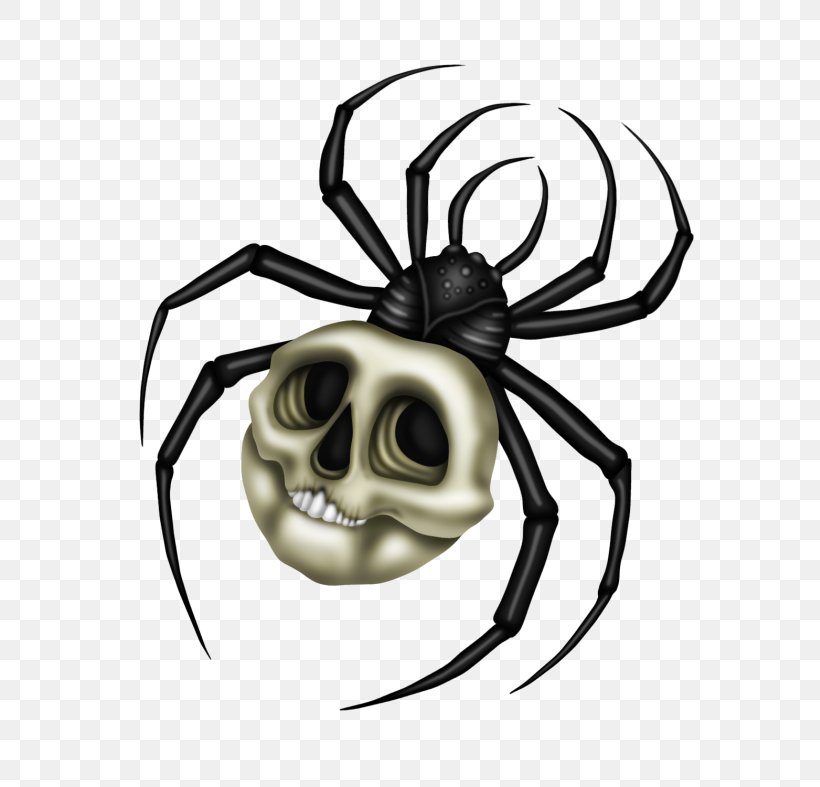 Black Widow Widow Spiders Insect Clip Art, PNG, 630x787px, Black Widow, Arachnid, Arthropod, Black And White, Headgear Download Free