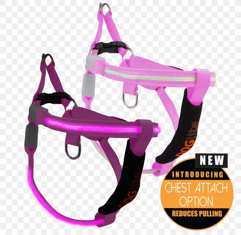 Dog Harness Horse Harnesses Driving, PNG, 800x801px, Watercolor, Cartoon, Flower, Frame, Heart Download Free