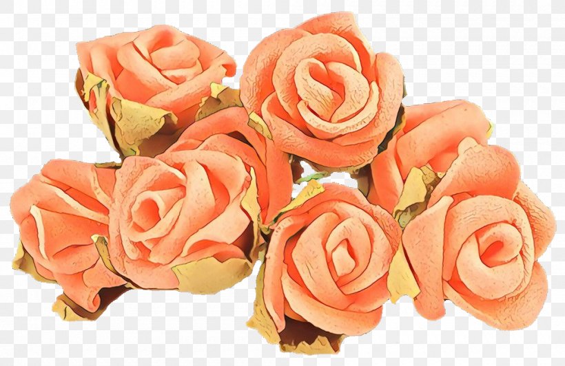 Garden Roses, PNG, 1000x649px, Cartoon, Cut Flowers, Flower, Garden Roses, Orange Download Free
