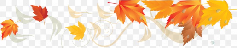 Image Desktop Wallpaper Leaf Download, PNG, 1535x314px, Leaf, Ansichtkaart, Autumn, Autumn Leaves, Close Up Download Free