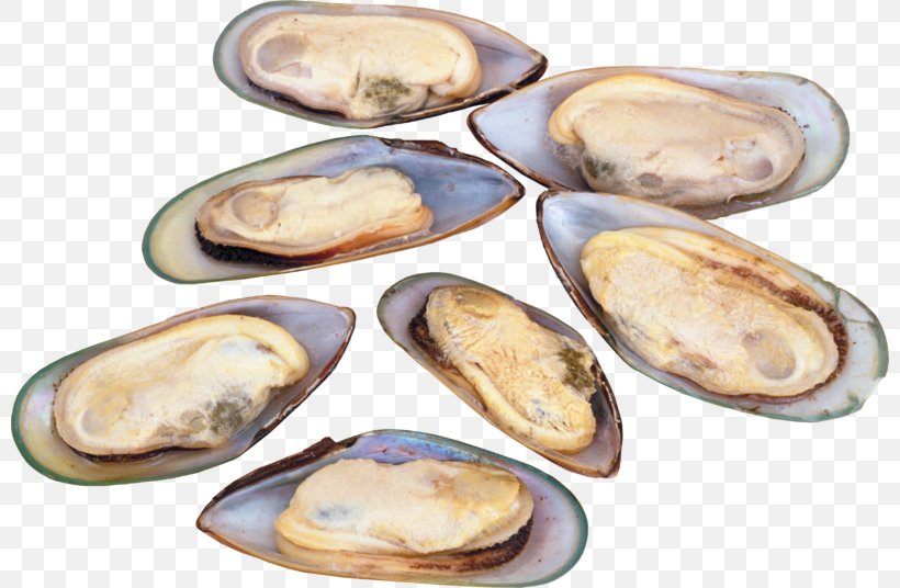 Vitamin B-12 Vitamin B12 Deficiency B Vitamins, PNG, 800x536px, Vitamin B12, Abalone, Anemia, Animal Source Foods, B Vitamins Download Free