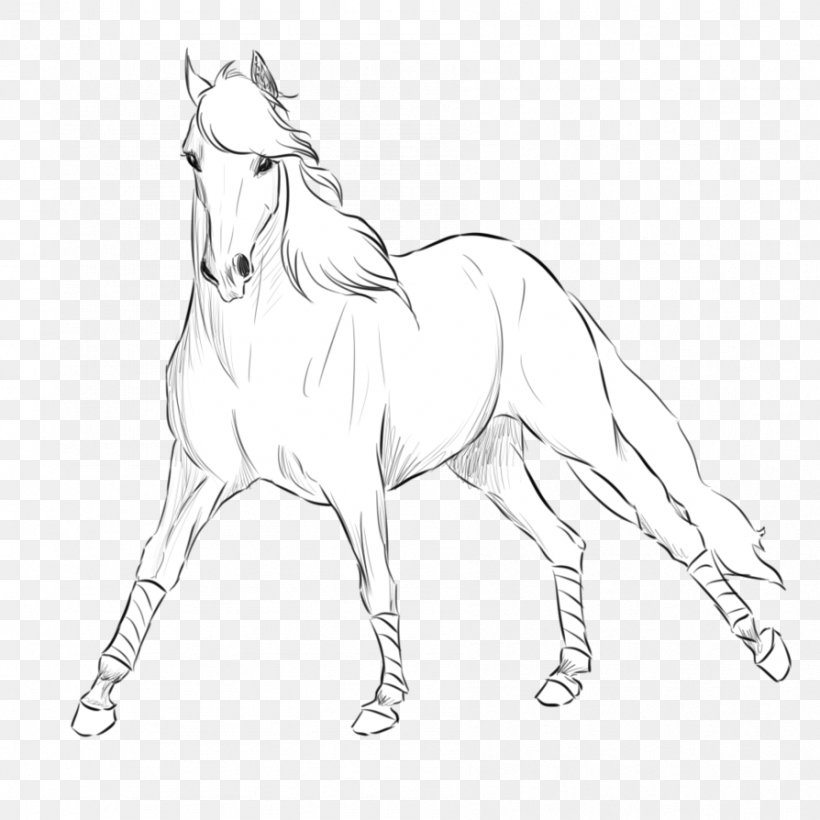 Andalusian Horse Mane Shire Horse Mustang Stallion, PNG, 894x894px, Andalusian Horse, American Indian Horse, Animal Figure, Artwork, Black And White Download Free