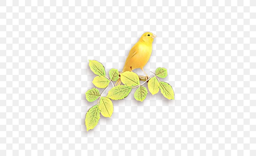 Bird Cartoon, PNG, 500x500px, Cartoon, Atlantic Canary, Beak, Bird, Branch Download Free