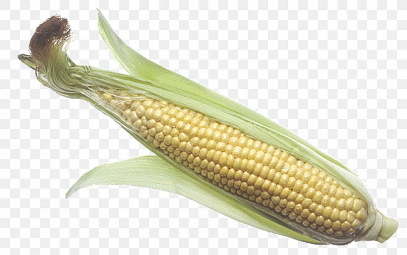 Corn On The Cob Maize Corncob Sweet Corn, PNG, 957x600px, Corn On The Cob, Barbecue, Cereal, Commodity, Cooking Download Free